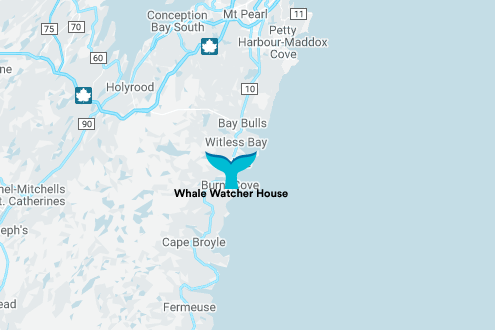 Contact Whale Watcher House