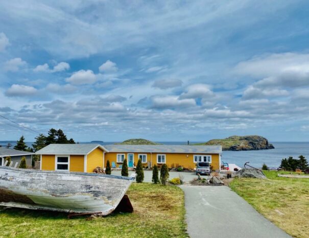 Whale Watcher House